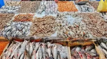 سعر السمك اليوم الثلاثاء 5 مايو 2026، تراجع المكرونة 30 جنيها والبوري 20